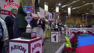 Exposición Nacional Canina Alicante 2019 [upl. by Deana720]