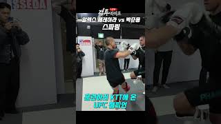 샤마 UFC 알렉스 페레이라 vs 박준용 정다운 스파링 영상 격투라이프 [upl. by Rosenberger]