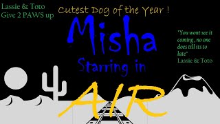 Misha in Air  Final Cut  Cutest pomsky dog in the world Dont miss this installment of the SAGA [upl. by Yeliw]