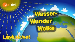 Wie entstehen Wolken  Löwenzahn  ZDFtivi [upl. by Salocin117]