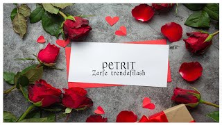 Petrit Vullkani  Zarfe Trendafilash [upl. by Nariko]