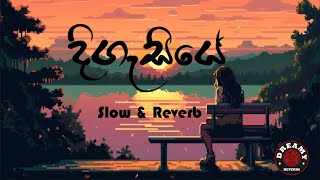 DHANITH SRI  DIGASIYE  දිගැසියේ  SlowReverb [upl. by Dazhehs84]