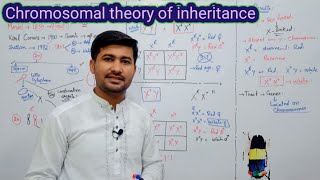 Chromosomal theory of inheritance  fsc Biology 12 class [upl. by Adrian]