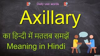 Axillary meaning  Axillary  Axillary Example  Axillary meaning [upl. by Ettenuahs147]