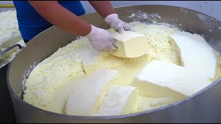 Making Cheese from Freshly Milked Dairy at the Farm Korean handmade cheese [upl. by Berna]