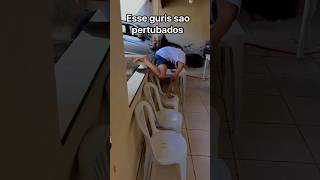 Esses guris são de mais comedia shorts [upl. by Niltag155]