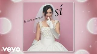 Julieta Venegas  A Tu Lado Cover AudioVideo [upl. by Kohcztiy]