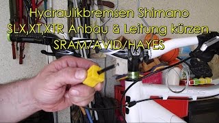 Hydraulikbremsen Shimano SLXXTXTR Anbau amp Leitung kürzen SRAMAVIDHAYES [upl. by Nerhtak361]