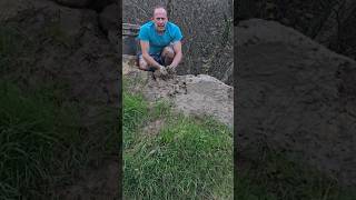 Neatening up with topsoil Slop landscapping mud permaculture fitnessmotivation exercise ideas [upl. by Yennep704]