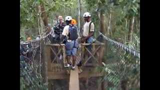 Karibik  Canopy  Zipline  Flying Fox im Regenwald auf St Lucia [upl. by Corbin]