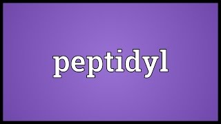 Peptidyl Meaning [upl. by Amekahs]