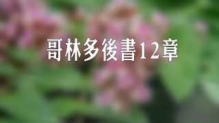 哥林多後書 12章 [upl. by Ened]