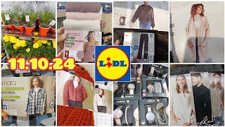 LIDL BAZAR 🛒🛍 ROPA OTOÑO INVIERNO 24 CARDIGANS CAMISAS ROPA INTERIOR Y MÁS Amunaysuscosas [upl. by Elspeth631]