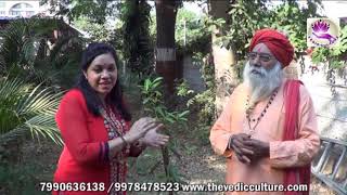 Benefits of Rudraksha tree and value of Rudraksha explained [upl. by Maibach]