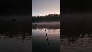 Fall on Lake Lanier Topwater Spotted Bass [upl. by Hetti820]