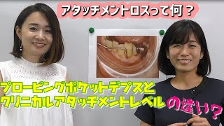 【アタッチメントロスって何？プロービングポケットデプスとクリニカルアタッチメントレベルの違い。】今更聞けない歯科知識 新人歯科衛生士さんのためのお悩み相談室萬田久美子先生 [upl. by Enelyk]