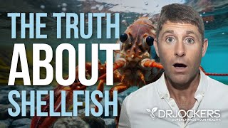 The Shocking Truth About Shellfish [upl. by Leahcimrej]