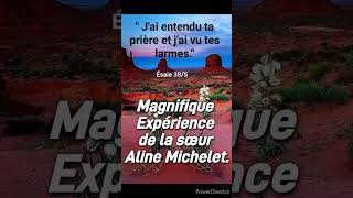 4481 Magnifique Expérience de la sœur Aline Michelet [upl. by Caresa]