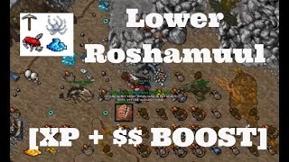 Lower Roshamuul  EXP   Boost [upl. by Joyann]