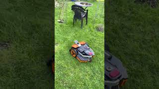 Worx Landroid Vision M800 Mähroboter WR208E TEST [upl. by Nosde556]