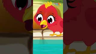 Chidiya Rani Badi Sayani  Latest Hindi Nursery Rhymes For Babies [upl. by Ecnerret]