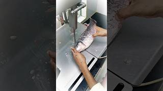 Unique small New live rohu fish cutting skills video reels shortsvideo youtube style [upl. by Franck]