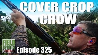 Fieldsports Britain  Cover Crop Crow [upl. by Brotherson604]