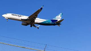 planes landing pearson airport NOV 18 2024 TORONTO CANADA [upl. by Oinolopa]