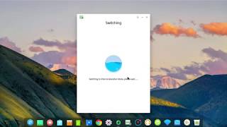 Deepin Graphics Driver Manager on Deepin 155 Look At [upl. by Holihs]