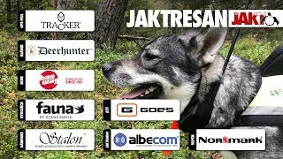 Jaktresan Älgpremiär i Tallsjö [upl. by Euqinommod753]