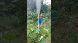 Recommended Agricultural Irrigation Sprinkler with Adjustable Mist Water Spray Head  Helping Ha [upl. by Haidabej]