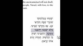 Shabbat Amidah  Blessing 4  Part 22  Kulam Yisbu Vyitanegu MiTuvach [upl. by Neeluqcaj]