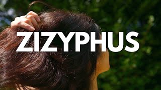 I TRIED ZIZYPHUS AYURVEDIC HERBAL POWDER WITH SECRET INGREDIENTS  DIY HAIR MASK  HENNA SOOQ [upl. by Belac]