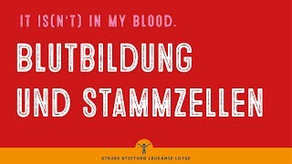 Blutbildung und Stammzellen  Krankheit verstehen [upl. by Teria]