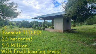 vlog 635 MAGANDANG FARMLOT ulit dito sa bayan ng Cuyapo Nueva Ecija25 has Titulado55 million [upl. by Hjerpe985]