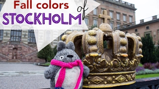 Totoro in Sweden  Stockholms Fall Colors [upl. by Narut]