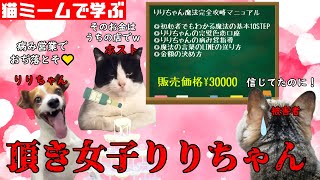 猫ミームで学ぶ頂き女子りりちゃん 猫マニ 猫ミーム [upl. by Acinahs26]