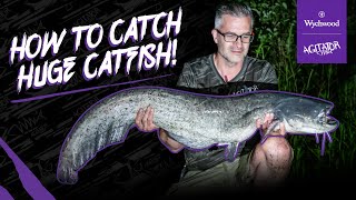 How to catch big Catfish in the UK  Albans Lakes  Agitator Catfish Rods  Wels Catfish [upl. by Oicatsana]