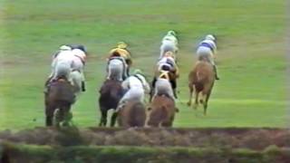 Grand Annual Steeplechase Warranambool 6 May 1982 [upl. by Marlie]