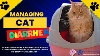 Managing Cat Diarrhea A Comprehensive Guide to 5 Common Causes and Effective Treatments 🐾 [upl. by Aneert]