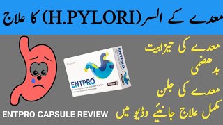 Entpro capsules uses in Urdu  hpylori treatment  entpro capsules dosage  entpro capsules [upl. by Lennon]