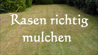 Anleitung Rasen mulchen  Vorteile und Nachteile beim Rasenmulchen  Rasen düngen [upl. by Aisyle]