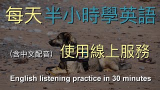 🎧快速學習英文的實用方法：使用線上服務｜結合中文解說｜半小时英语｜Half Hour English Using Online Services [upl. by Ethelinda]