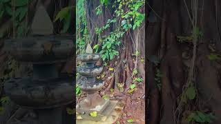 Uthralikkavu Bhagavathy Temple Kerala uthralikavu temple kerala incredibleindia aanushvlogs [upl. by Yrennalf]