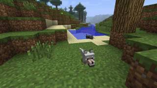 Minecraft BABY WOLF Ingame High Definition  Minecraft [upl. by Woodhouse]