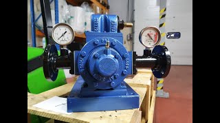 Vane Pump for Marine Diesel Oil Video Case Study [upl. by Solokin344]