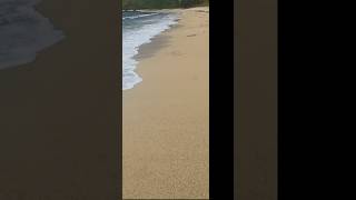 PINONG BUHANGIN SA APLAYA subscribe fishingtechniques beach marlins satisfying [upl. by Pich]