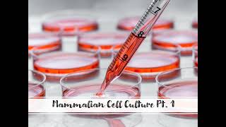 Mammalian Cell Culture  Part 1 [upl. by Nabroc]