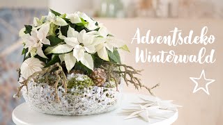 DIY Adventsdeko Winterwald mit Weihnachtssternen [upl. by Nwahsel933]