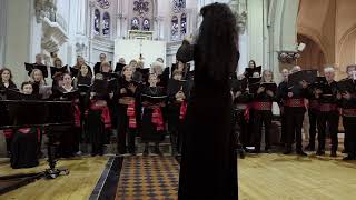 Cherubic Hymn from the Liturgy of St John Chrysostom P Tchaikovsky Slavic Voices choir [upl. by Shiff]